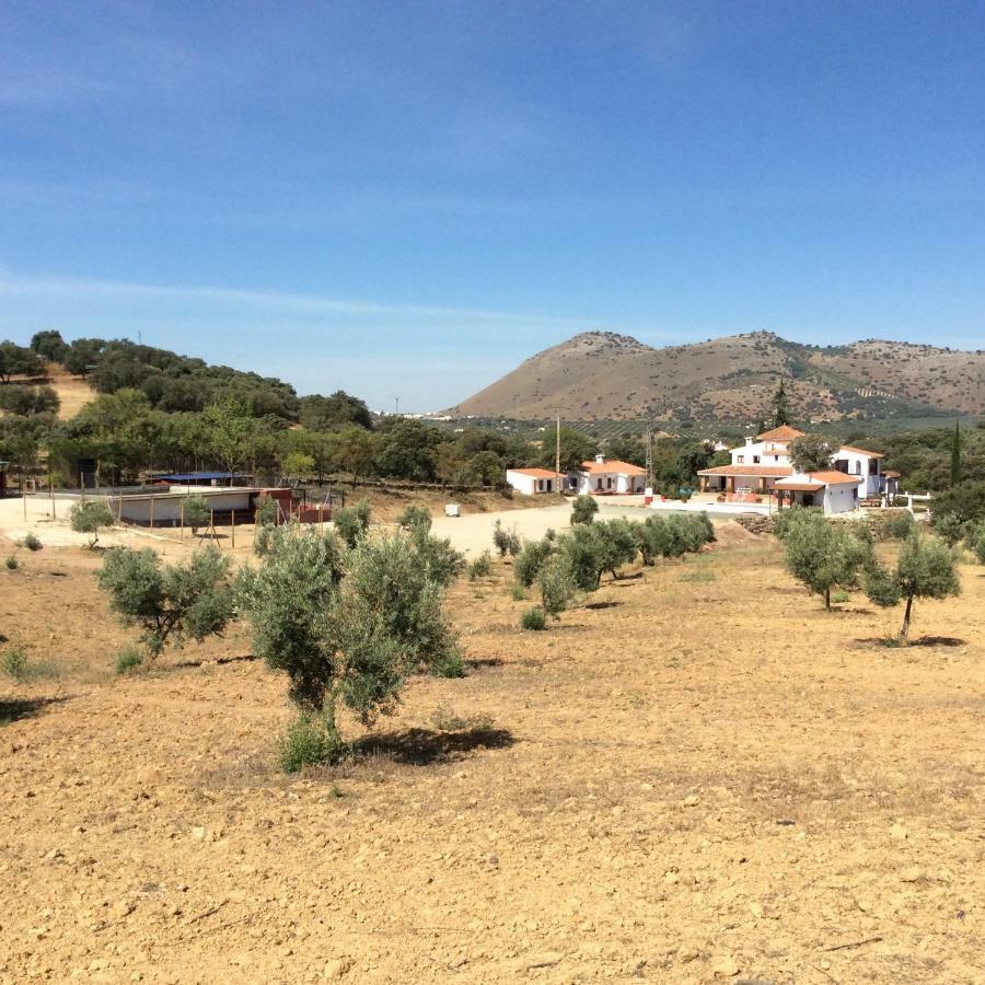 Santa Marta Complejo Rural Con Pista De Padel Guest House Арчидона Екстериор снимка